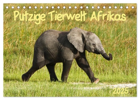 Putzige Tierwelt Afrikas (Tischkalender 2025 DIN A5 quer), CALVENDO Monatskalender - Nadine Haase