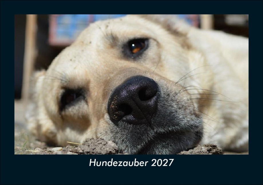 Hundezauber 2027 Fotokalender DIN A5 - Tobias Schmitt, Kevin Heber