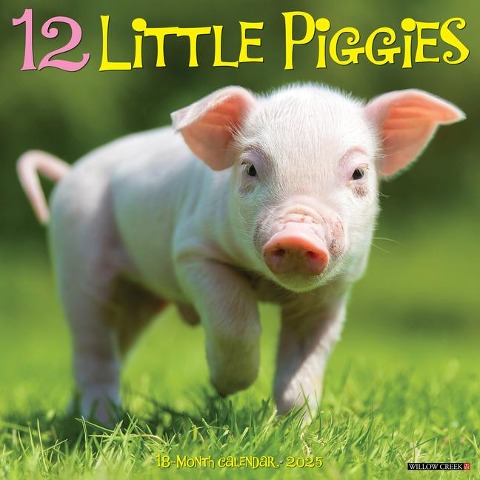 12 Little Piggies 2025 12 X 12 Wall Calendar - Willow Creek Press