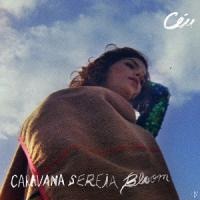 Caravana Sereia Bloom - Ceu