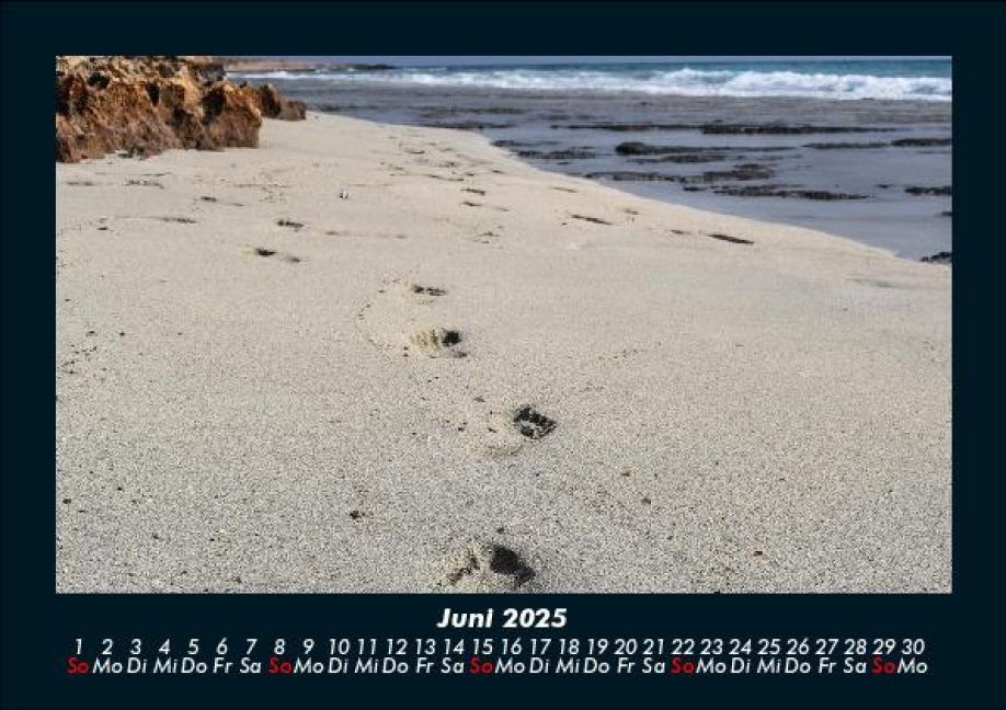 InsideView 10