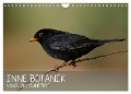 INNE BOTANIK - Vögel im Ruhrpott (Wandkalender 2024 DIN A4 quer), CALVENDO Monatskalender - Alexander Krebs
