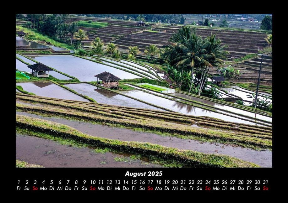 InsideView 12