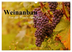 Weinanbau. Von der Traube zum Wein (Wandkalender 2026 DIN A3 quer), CALVENDO Monatskalender - Elisabeth Stanzer