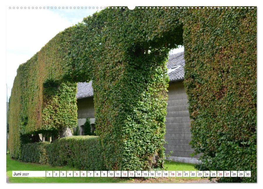 InsideView 11