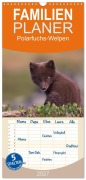 Cover-Bild zum Titel 'Familienplaner 2027 - Polarfuchs-Welpen mit 5 Spalten (Wandkalender, 21 x 45 cm) CALVENDO' von 'Judith Kuhn'
