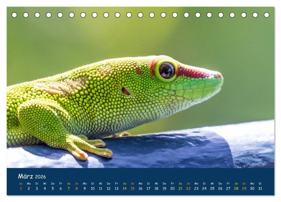 InsideView 8