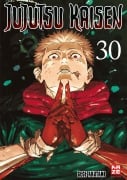 Cover-Bild zum Titel 'Jujutsu Kaisen - Band 30 (Finale)' von 'Gege Akutami'