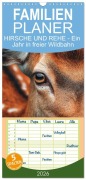 Cover-Bild zum Titel 'Familienplaner 2026 - HIRSCHE UND REHE - Ein Jahr in freier Wildbahn mit 5 Spalten (Wandkalender, 21 x 45 cm) CALVENDO' von 'Mb Fotografie'