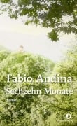 Cover-Bild zum Titel 'Sechzehn Monate' von 'Fabio Andina'