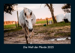 Cover-Bild zum Titel 'Die Welt der Pferde 2025 Fotokalender DIN A4' von 'Tobias Becker'