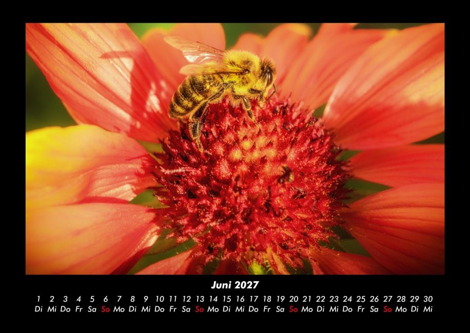 InsideView 10