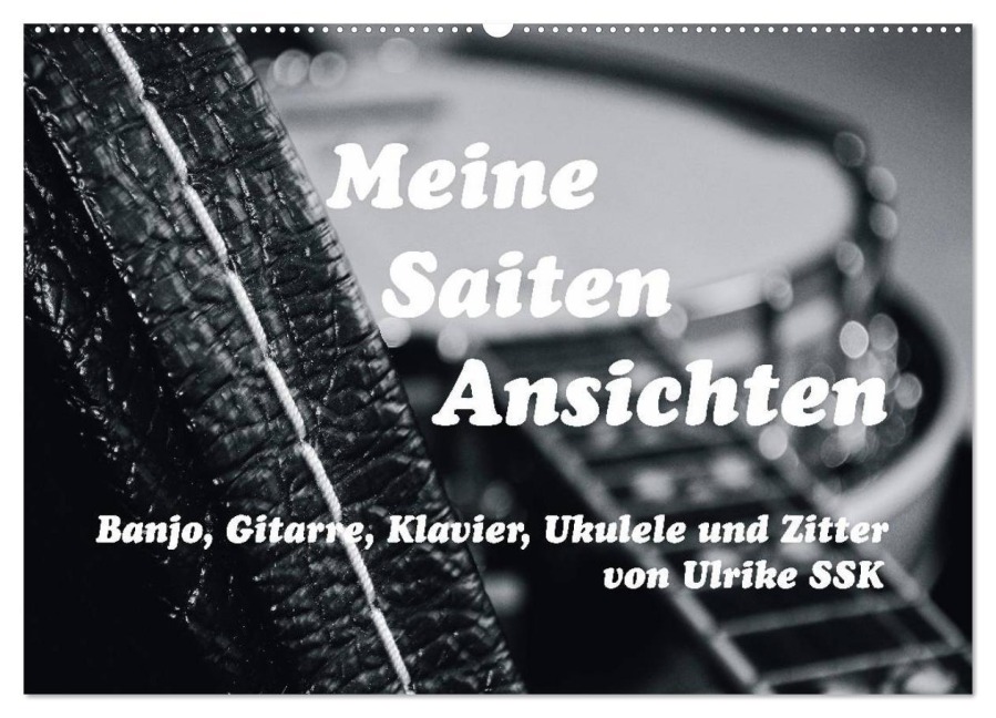 Meine Saiten Ansichten - Banjo, Gitarre, Klavier, Ukulele und Zitter von Ulrike SSK (Wandkalender 2026 DIN A2 quer), CALVENDO Monatskalender - Ulrike Ssk