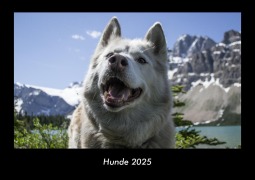 Cover-Bild zum Titel 'Hunde 2025 Fotokalender DIN A3' von 'Tobias Becker'