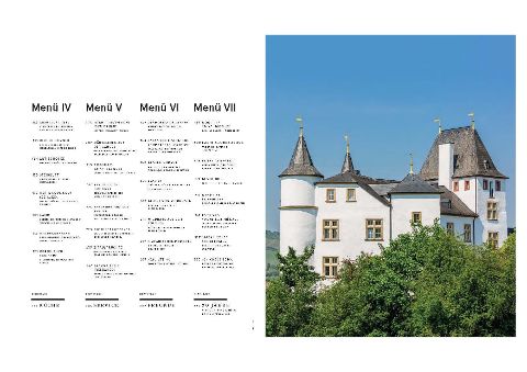 InsideView 4