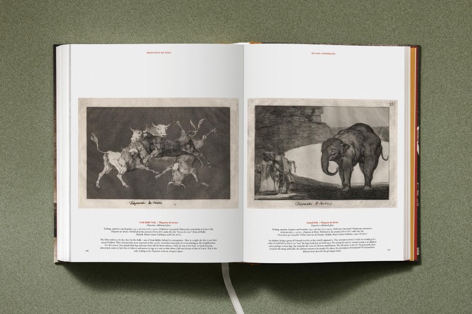 InsideView 29