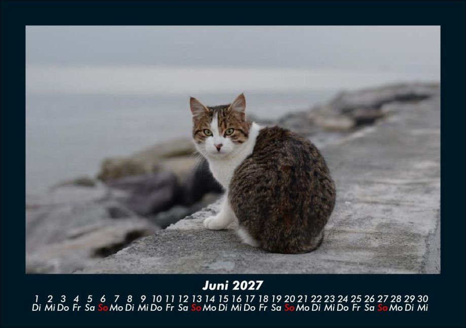 InsideView 10