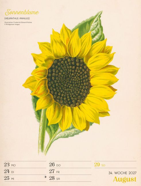 InsideView 38