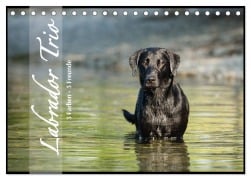 Labrador Trio - 3 Farben, 3 Freunde (Tischkalender 2026 DIN A5 quer), CALVENDO Monatskalender - Cornelia Strunz