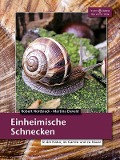Einheimische Schnecken - Robert Nordsiek, Micaela Brugsch