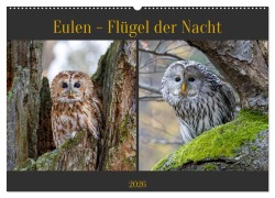 Cover-Bild zum Titel 'Eulen - Flügel der Nacht (Wandkalender 2026 DIN A2 quer), CALVENDO Monatskalender' von 'Teresa Bauer'