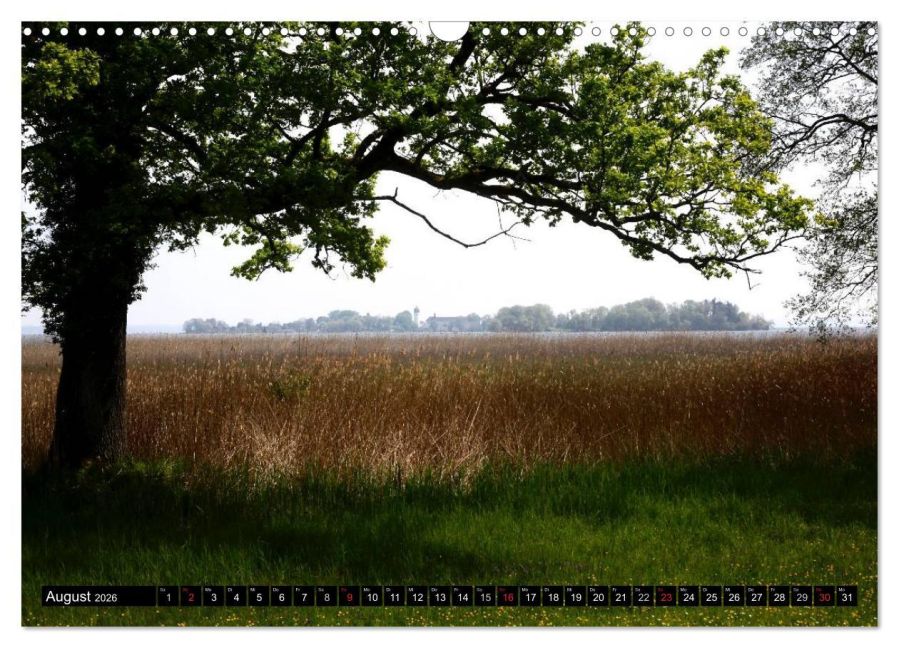 InsideView 13