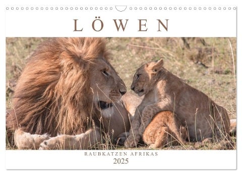 Löwen - Raubkatzen Afrikas (Wandkalender 2025 DIN A3 quer), CALVENDO Monatskalender - Andreas Lippmann