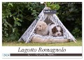 Lagotto Romagnolo - Spiel und Spaß in der Welpenzeit (Wandkalender 2024 DIN A3 quer), CALVENDO Monatskalender - Sonja Teßen