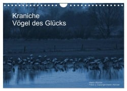 Cover-Bild zum Titel 'Kraniche (Wandkalender 2026 DIN A4 quer), CALVENDO Monatskalender' von 'Martin Wenner'