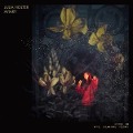 Cover-Bild zum Titel 'Aviary (2CD Mini-Gatefold)' von 'Julia Holter'