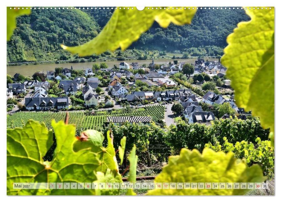InsideView 10