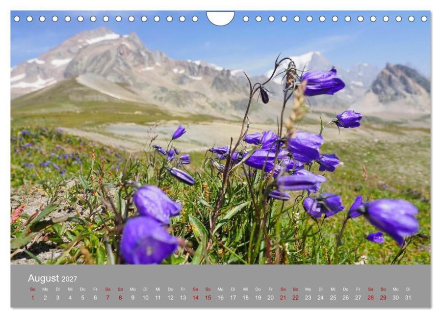 InsideView 13