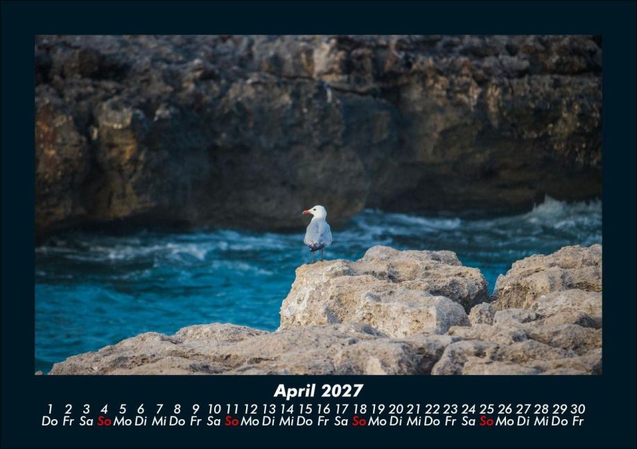 InsideView 8