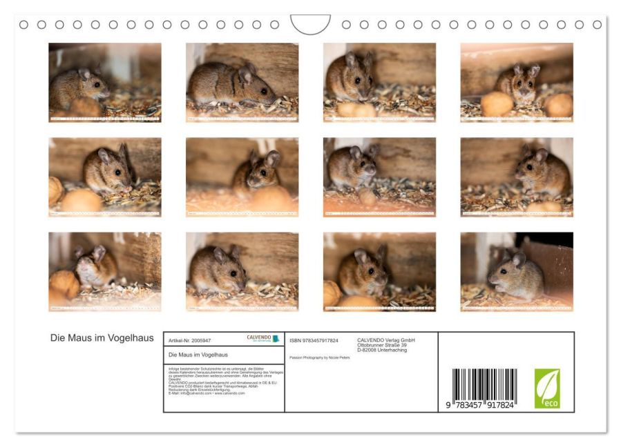InsideView 5