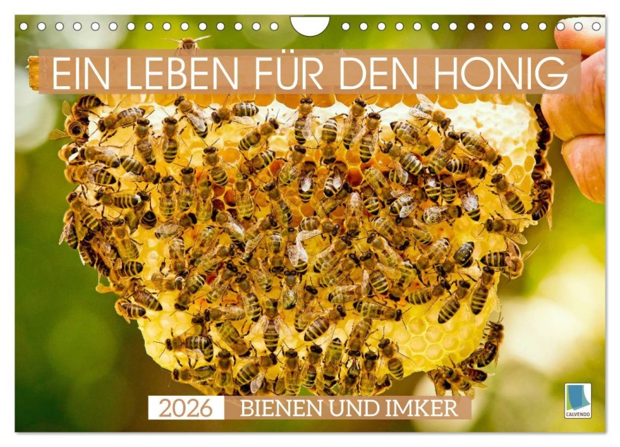 Ein Leben für den Honig - Bienen und Imker (Wandkalender 2026 DIN A4 quer), CALVENDO Monatskalender - Calvendo Calvendo