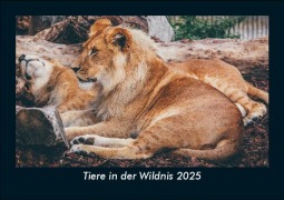 Cover-Bild zum Titel 'Tiere in der Wildnis 2025 Fotokalender DIN A5' von 'Tobias Becker'