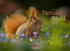 Tierwelt Wald Kalender 2026 - 