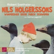 Cover-Bild zum Titel 'Nils Holgerssons wunderbare Reise durch Schweden' von 'Selma Lagerlöf'