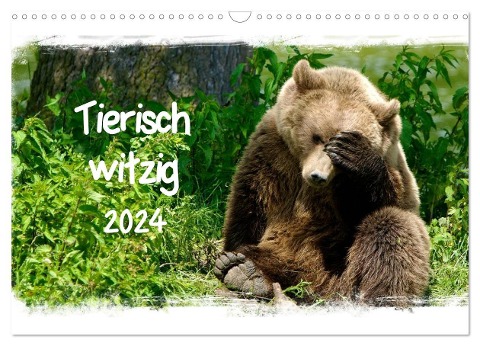 Tierisch witzig (Wandkalender 2024 DIN A3 quer), CALVENDO Monatskalender - Elsner Kottal