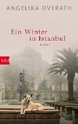 Cover-Bild zum Titel 'Ein Winter in Istanbul' von 'Angelika Overath'