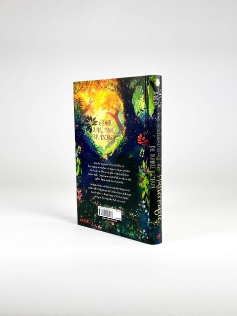 InsideView 3
