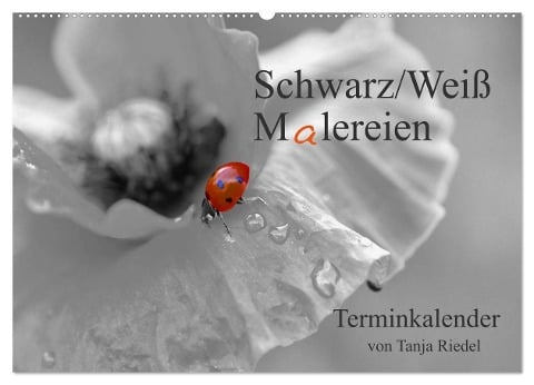 Schwarz-Weiß Malereien Terminkalender von Tanja Riedel für die Schweiz (Wandkalender 2024 DIN A2 quer), CALVENDO Monatskalender - Tanja Riedel