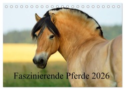 Cover-Bild zum Titel 'Faszinierende Pferde 2026 (Tischkalender 2026 DIN A5 quer), CALVENDO Monatskalender' von 'Sandra Ludwig'