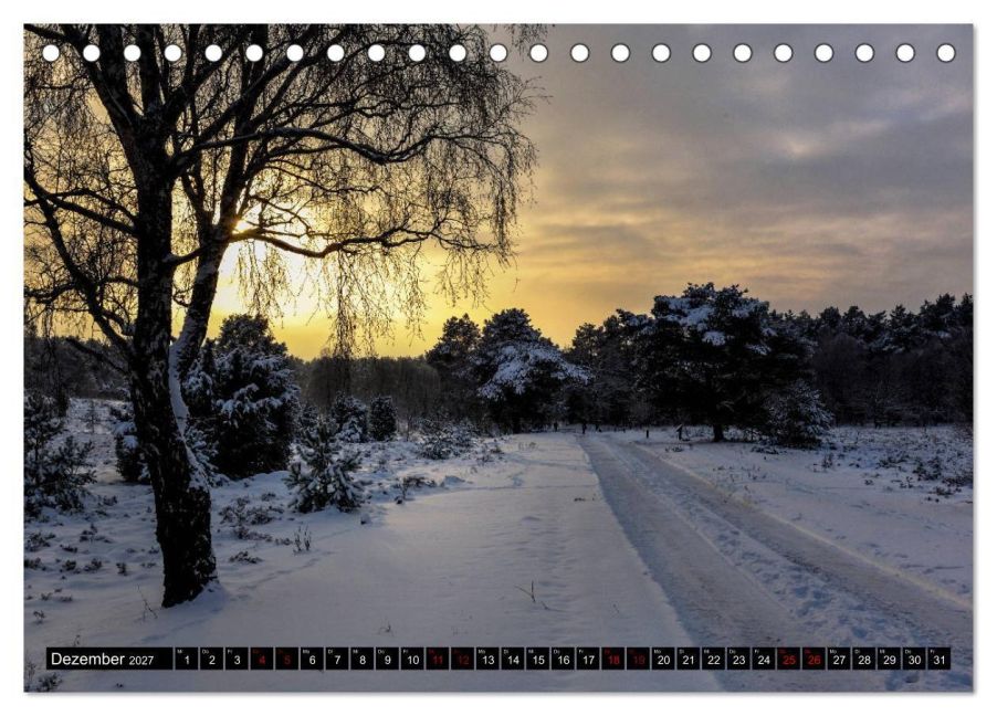 InsideView 4