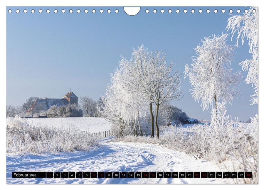 InsideView 7