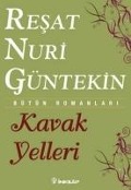 Cover-Bild zum Titel 'Kavak Yelleri' von 'Resat Nuri Güntekin'