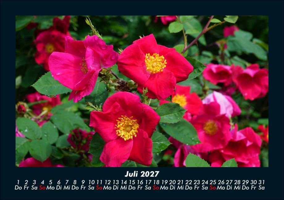 InsideView 11