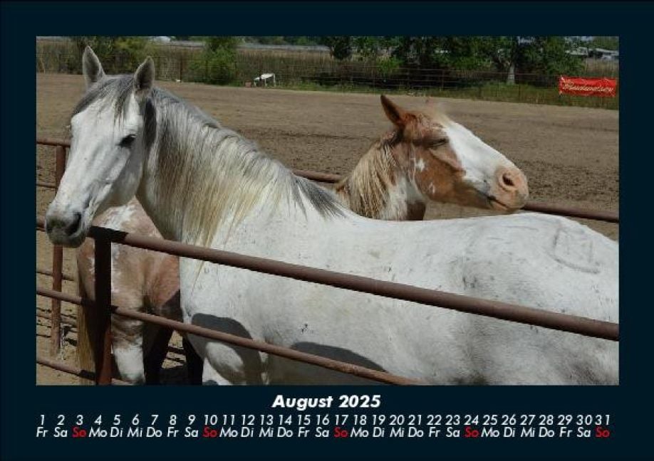 InsideView 12