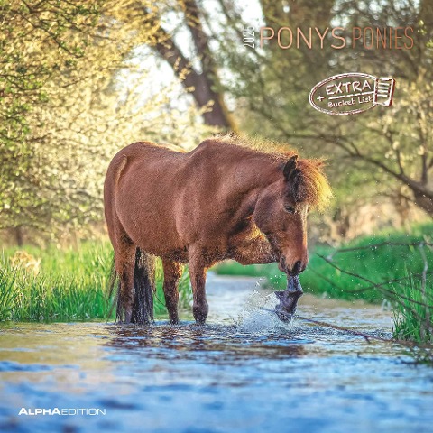 Ponys 2025 - Broschürenkalender 30x30 cm (30x60 geöffnet) - Kalender mit Platz für Notizen - Ponies - Bildkalender - Wandplaner - Pferdekalender - 