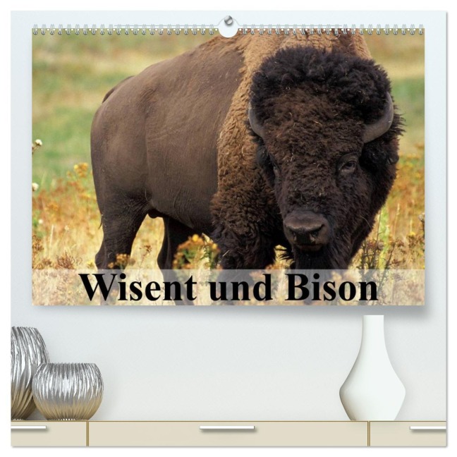 Wisent und Bison (hochwertiger Premium Wandkalender 2026 DIN A2 quer), Kunstdruck in Hochglanz - Elisabeth Stanzer